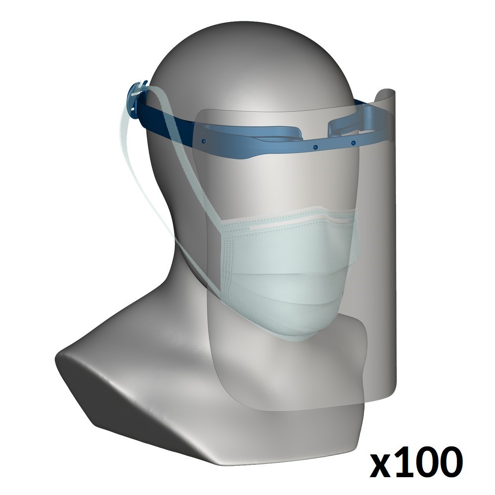 Wayland Face Shield x100